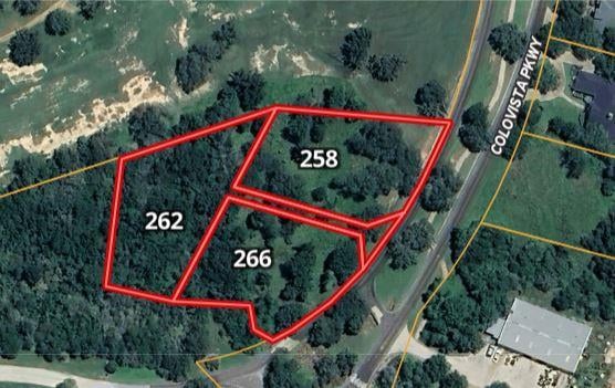 266 Colovista PKWY, Bastrop, TX 78602