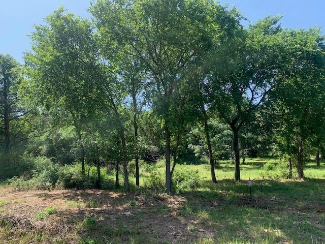 266 Colovista PKWY, Bastrop, TX 78602