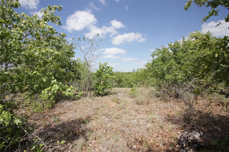 TBD River Forest DR, Bastrop, TX 78602