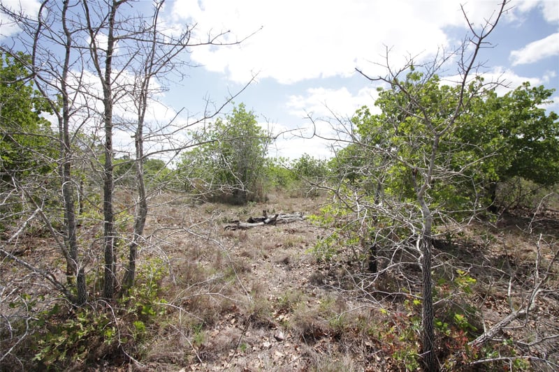 TBD River Forest DR, Bastrop, TX 78602