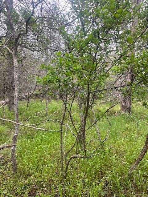Lot 628 Hilea CT, Bastrop, TX 78602