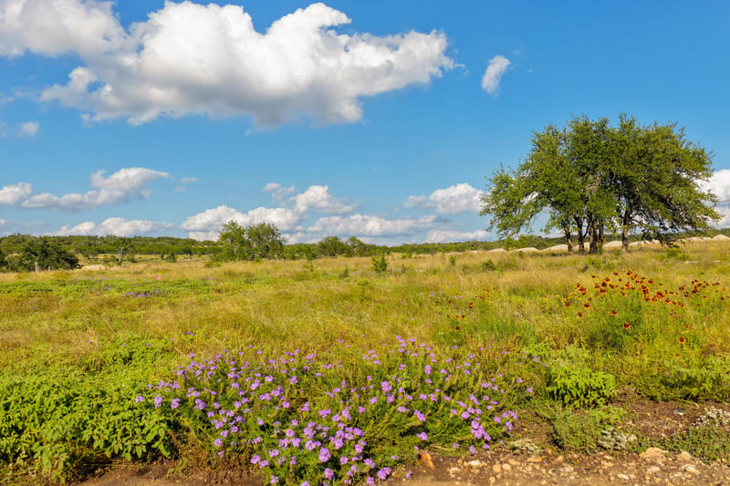 Lot 11 Maddalena LN, Dripping Springs, TX 78620