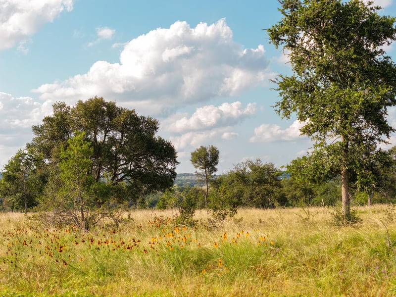 Lot 11 Maddalena LN, Dripping Springs, TX 78620