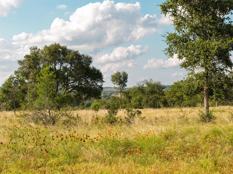Lot 11 Maddalena LN, Dripping Springs, TX 78620
