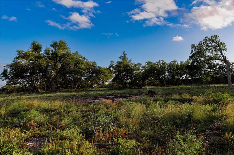 Lot 20 Gracewood Way, Dripping Springs, TX 78620
