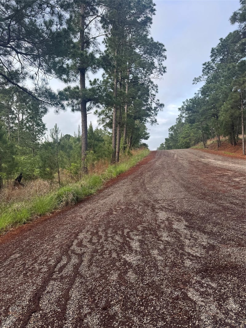 Lot 1492 Haleakala, Bastrop, TX 78602