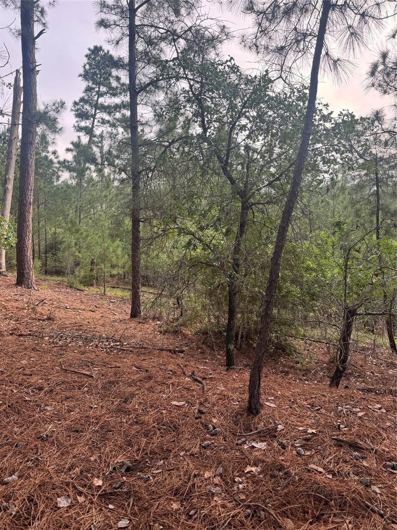 Lot 1492 Haleakala, Bastrop, TX 78602
