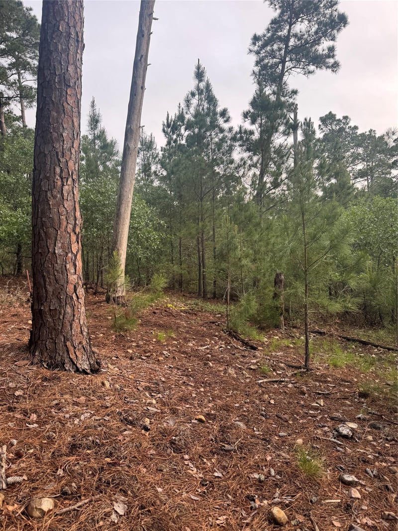 Lot 1492 Haleakala, Bastrop, TX 78602