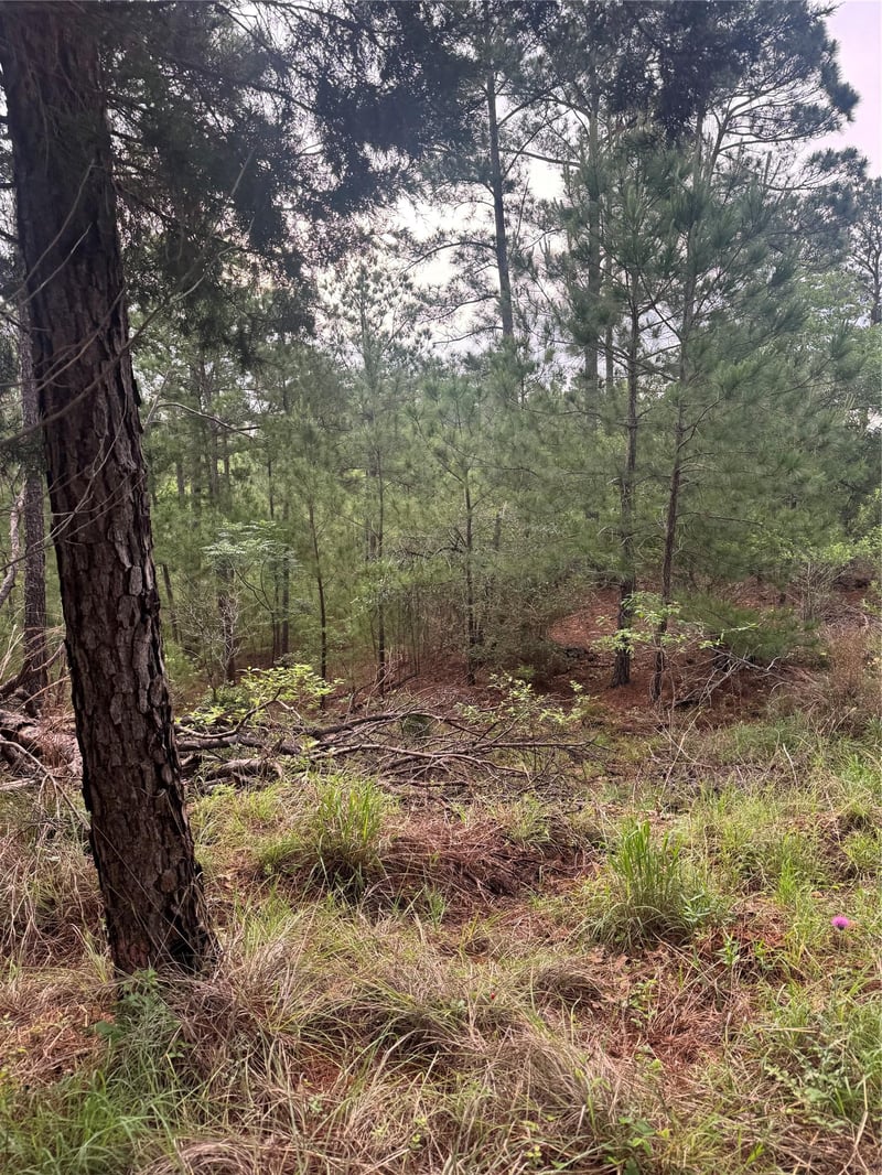 Lot 1491 Haleakala, Bastrop, TX 78602