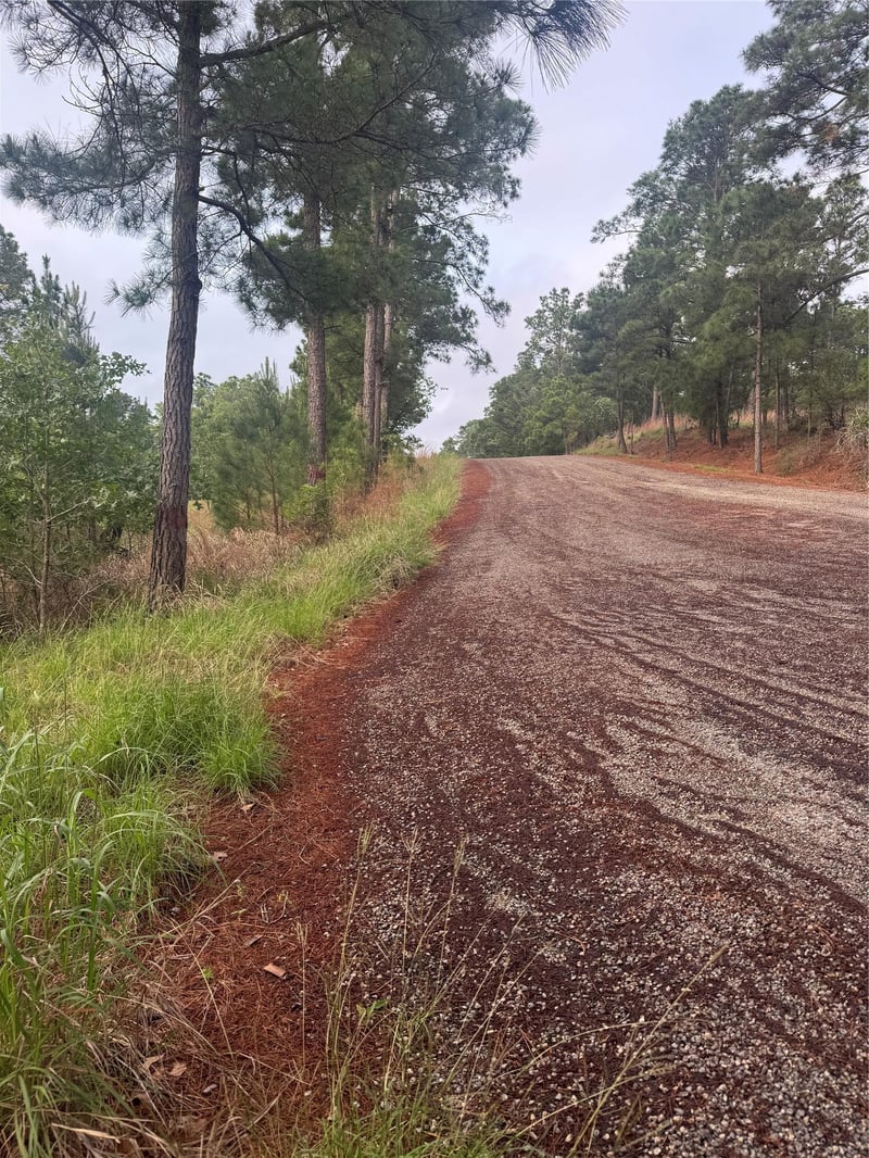 Lot 1491 Haleakala, Bastrop, TX 78602