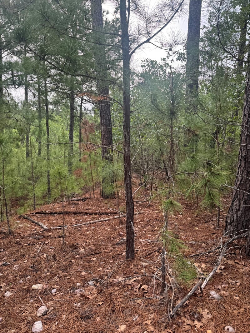Lot 1490 Haleakala, Bastrop, TX 78602