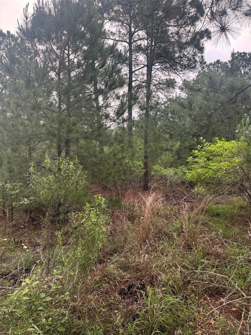 Lot 1490 Haleakala, Bastrop, TX 78602