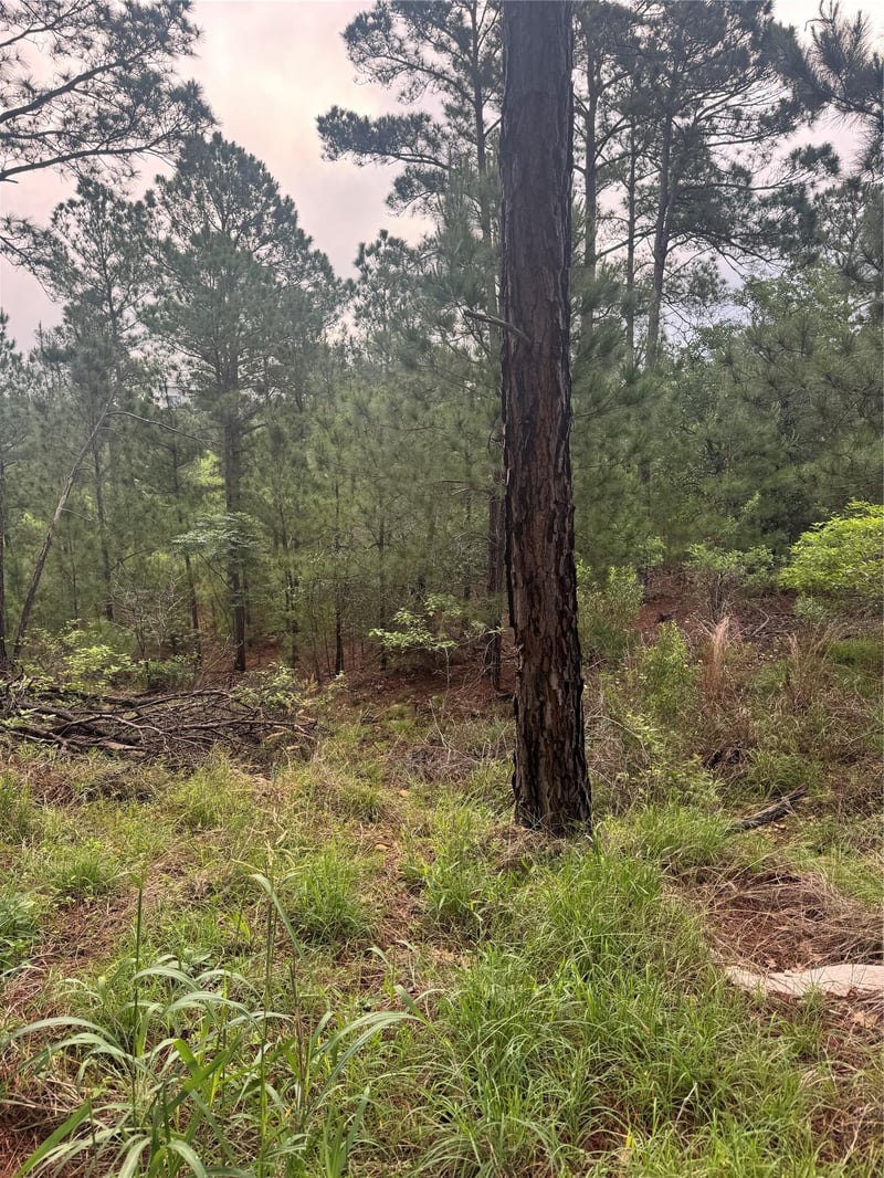 Lot 1490 Haleakala, Bastrop, TX 78602