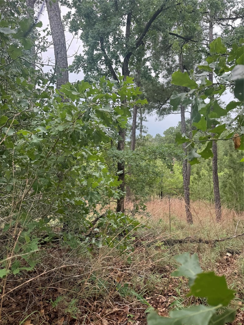 Lot 1612 Kaanapali LN, Bastrop, TX 78602