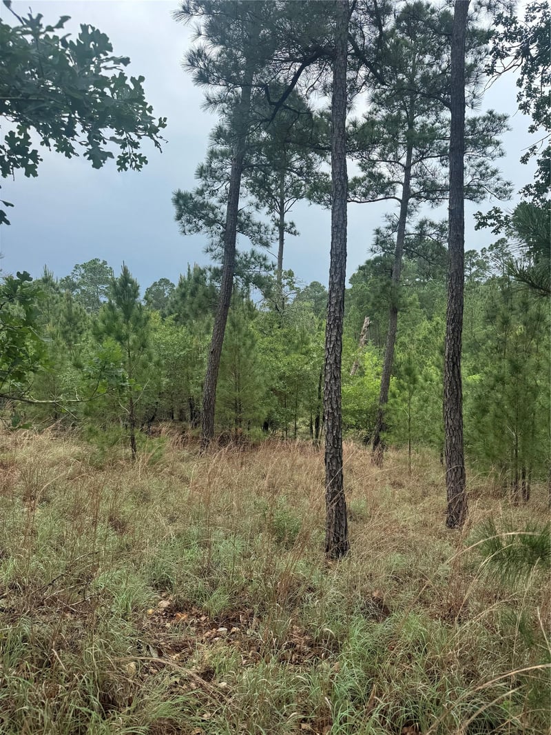 Lot 1612 Kaanapali LN, Bastrop, TX 78602