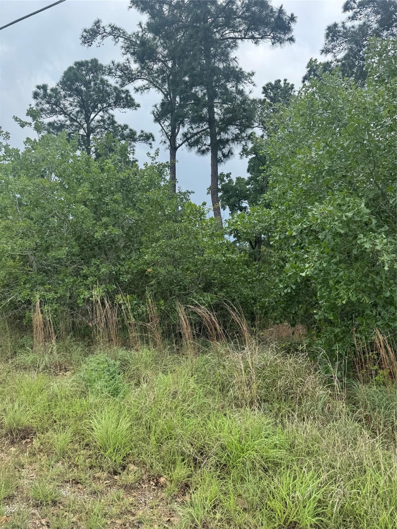 Lot 1612 Kaanapali LN, Bastrop, TX 78602