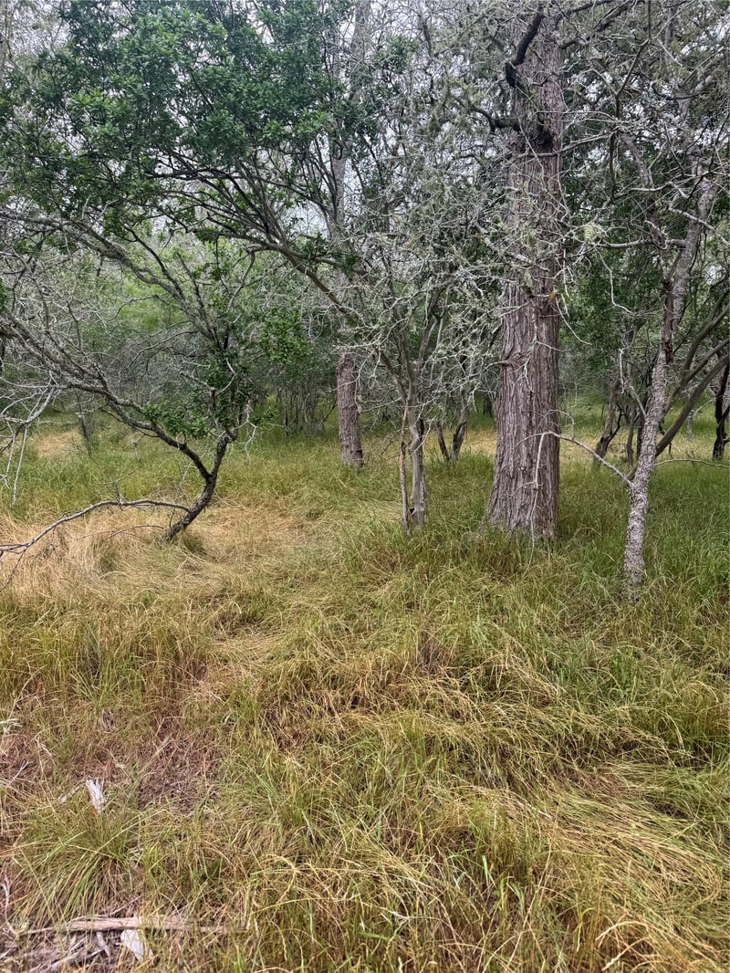 109 Hauula CT, Bastrop, TX 78602