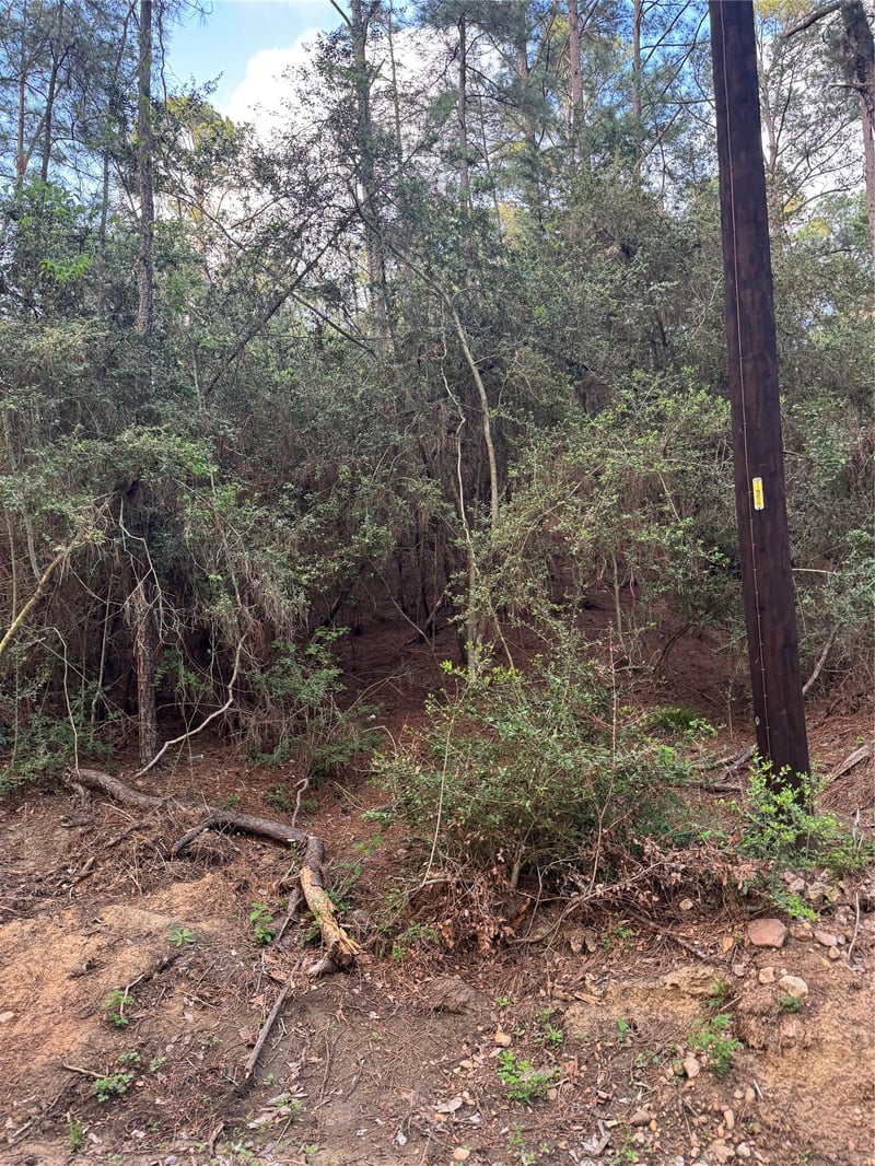 Lots 158 and 159 Hekili DR, Bastrop, TX 78602