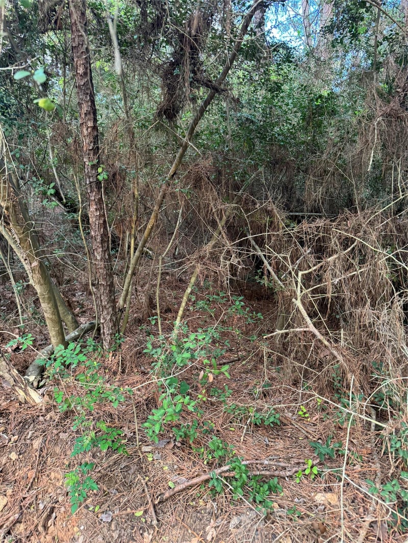 Lots 158 and 159 Hekili DR, Bastrop, TX 78602