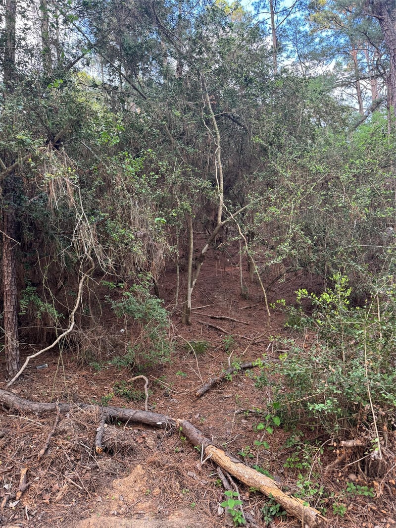 Lots 158 and 159 Hekili DR, Bastrop, TX 78602