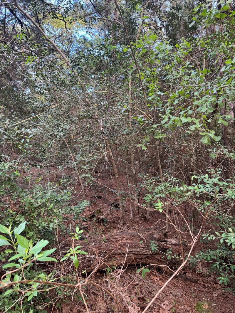 Lots 158 and 159 Hekili DR, Bastrop, TX 78602