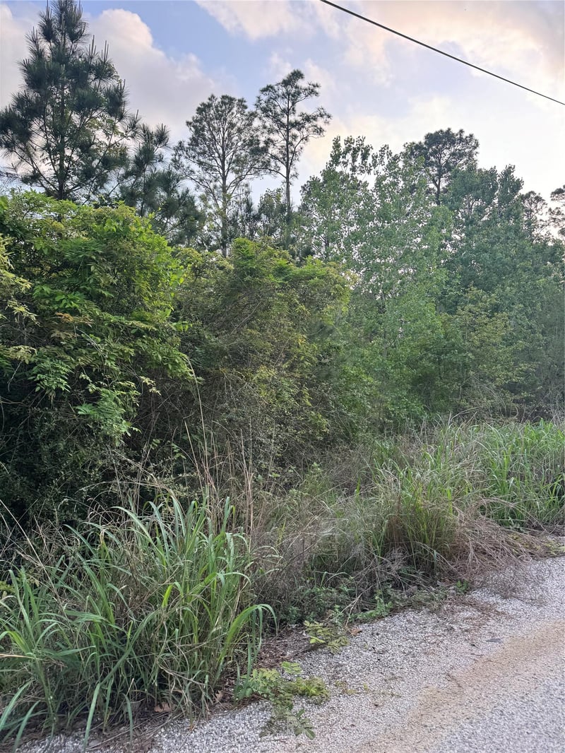 Lot 1386 Pahihi DR, Bastrop, TX 78602