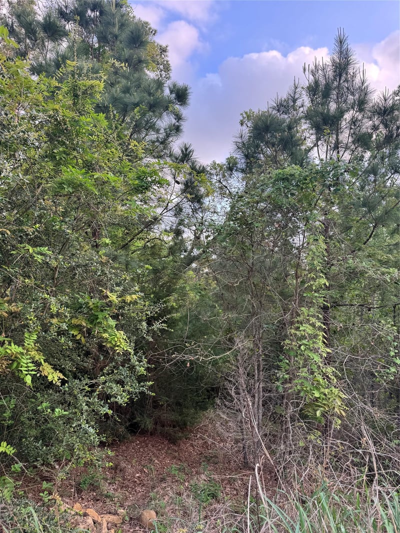 Lot 1386 Pahihi DR, Bastrop, TX 78602