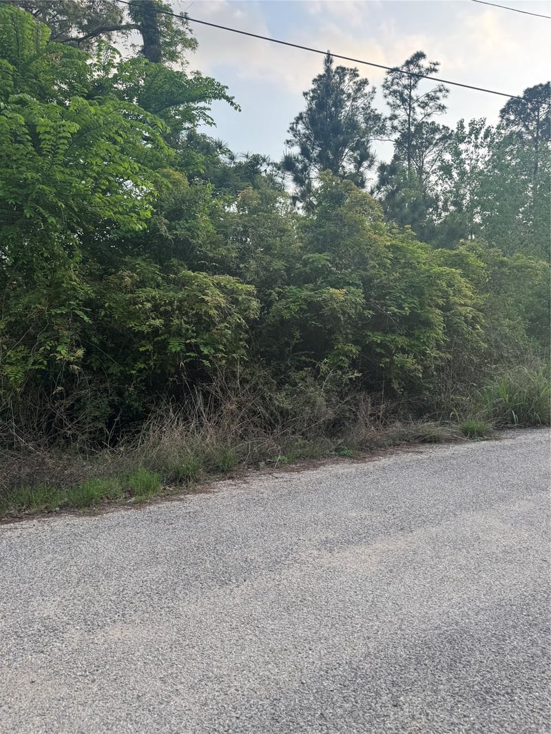 Lot 1386 Pahihi DR, Bastrop, TX 78602