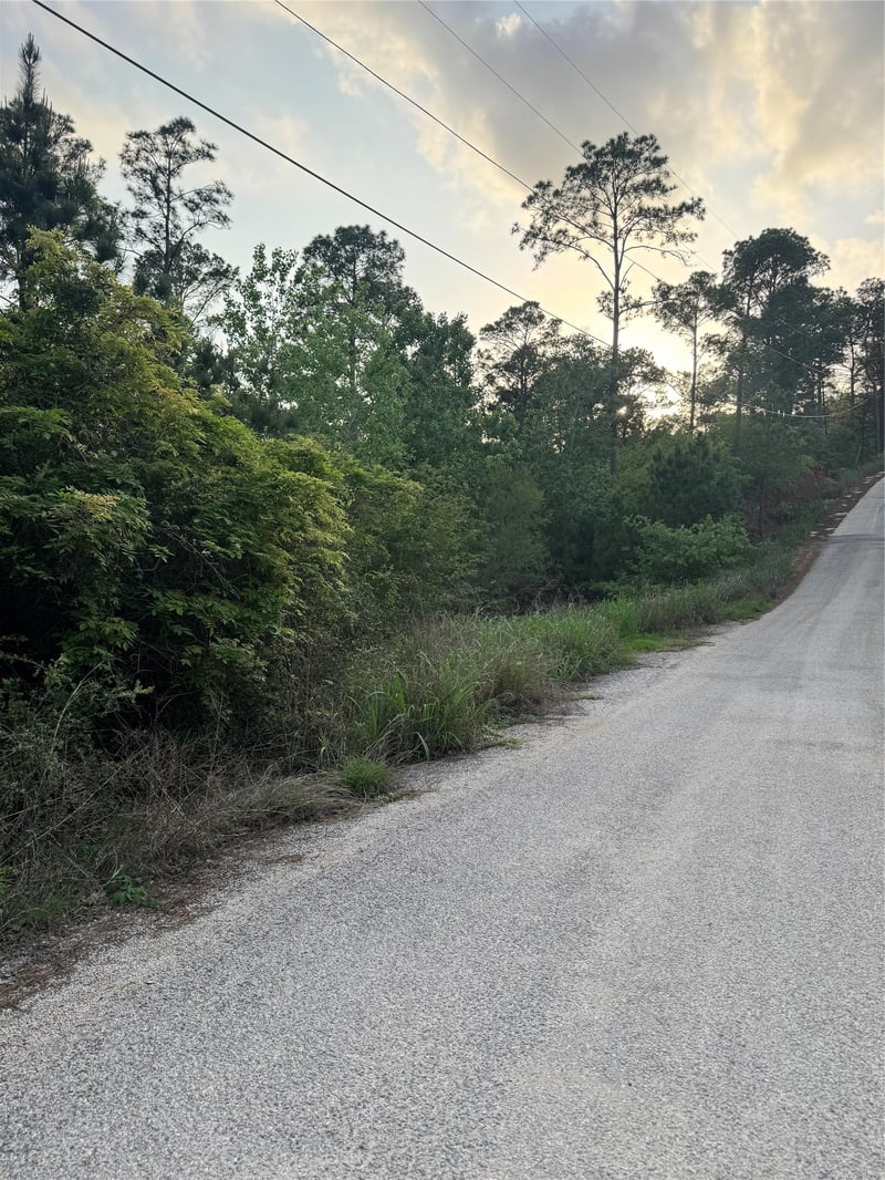 Lot 1386 Pahihi DR, Bastrop, TX 78602