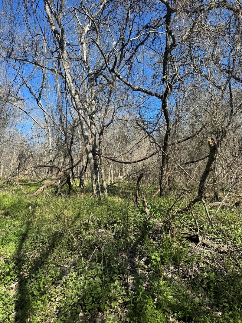 Lot 961 Riverside DR, Bastrop, TX 78602