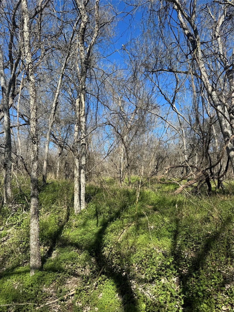 Lot 961 Riverside DR, Bastrop, TX 78602