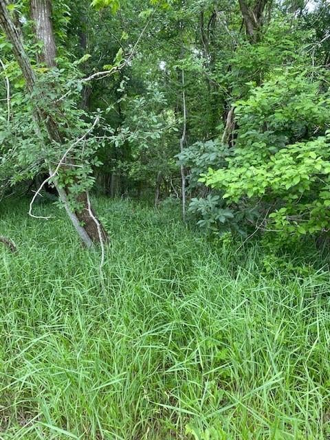 Lot 812 Kaukonahua LN, Bastrop, TX 78602