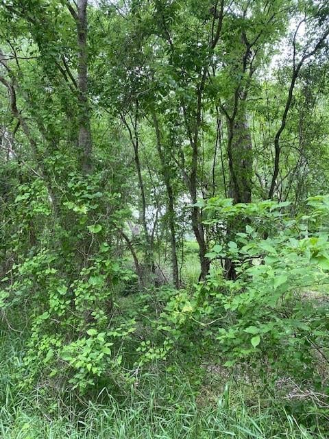 Lot 812 Kaukonahua LN, Bastrop, TX 78602