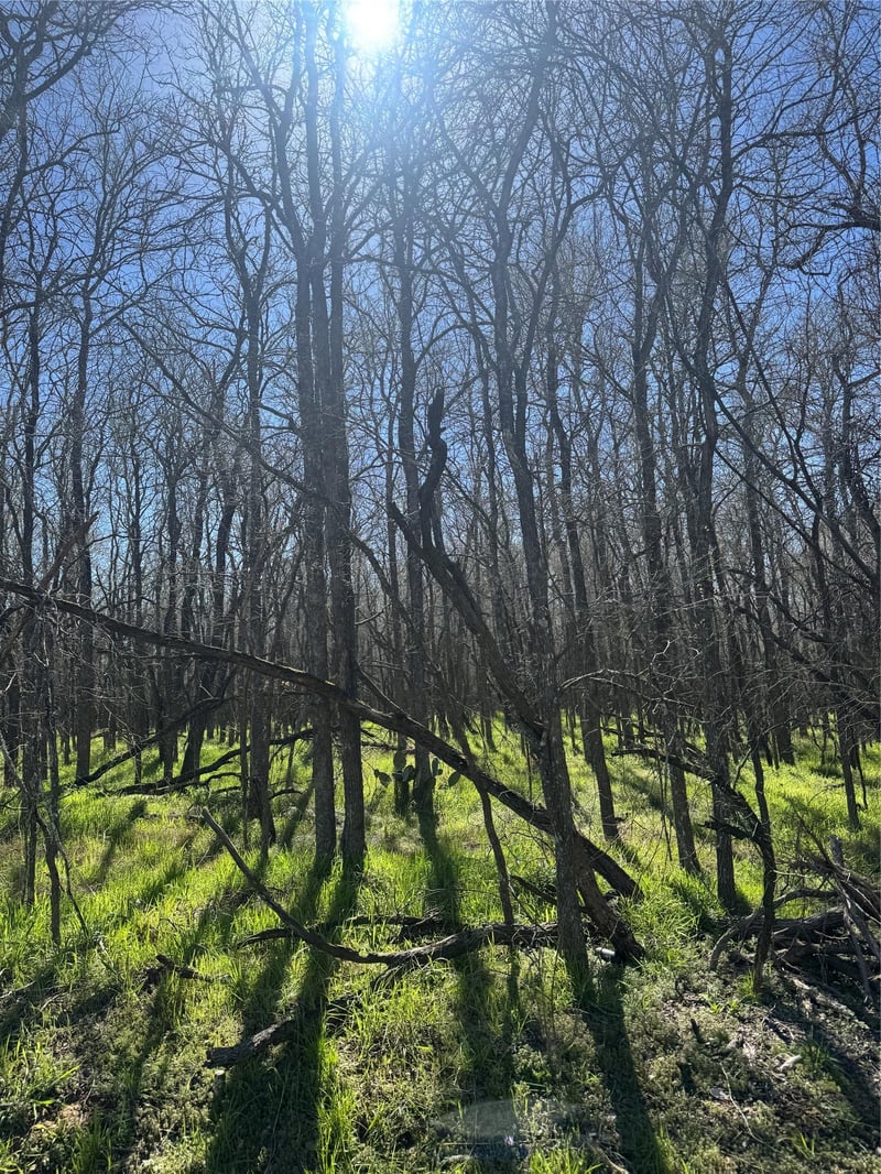 289 Iva LN, Bastrop, TX 78602