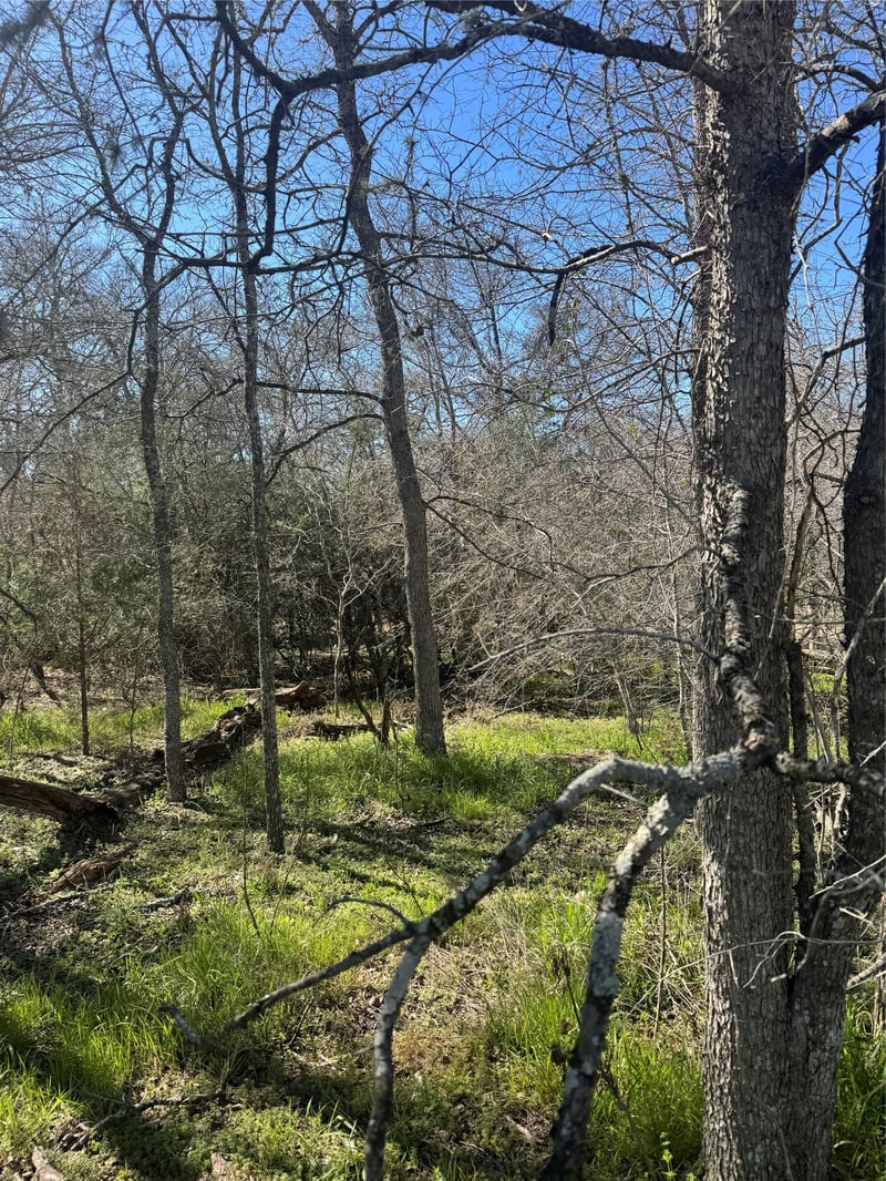 289 Iva LN, Bastrop, TX 78602