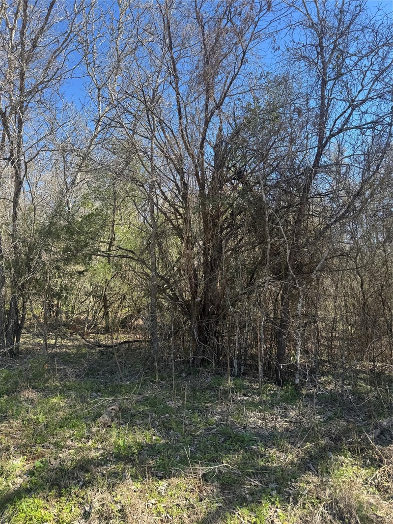 Lot 321 Kolekole LN, Bastrop, TX 78602