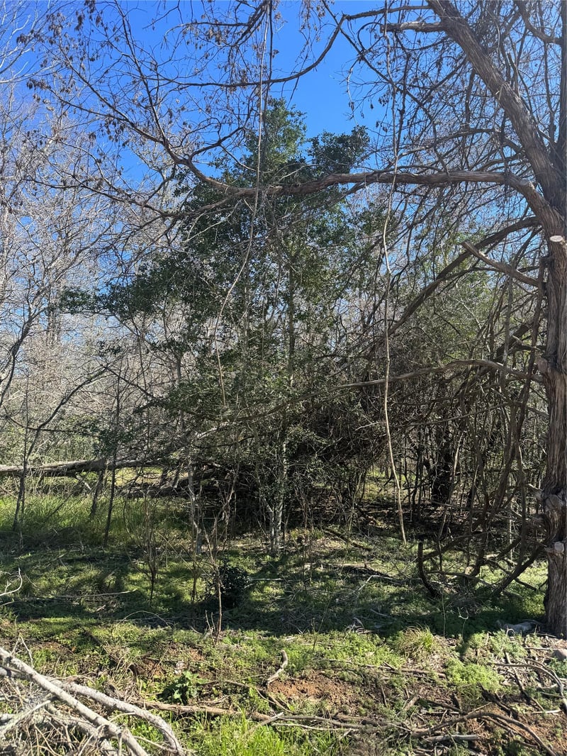 Lot 321 Kolekole LN, Bastrop, TX 78602