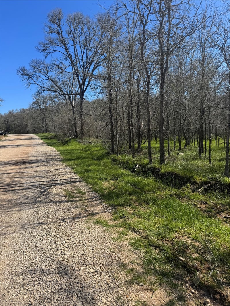 291 Kolekole LN, Bastrop, TX 78602