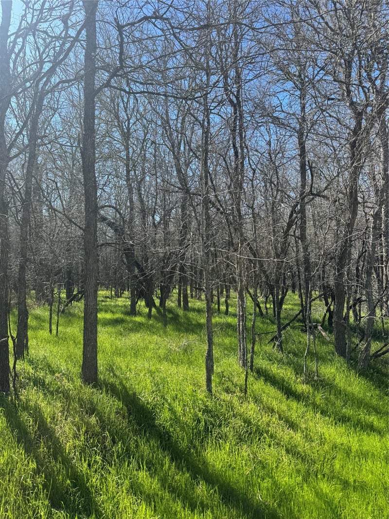 Lot 500 Kaaawa LN, Bastrop, TX 78602