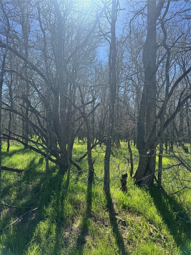 Lot 500 Kaaawa LN, Bastrop, TX 78602
