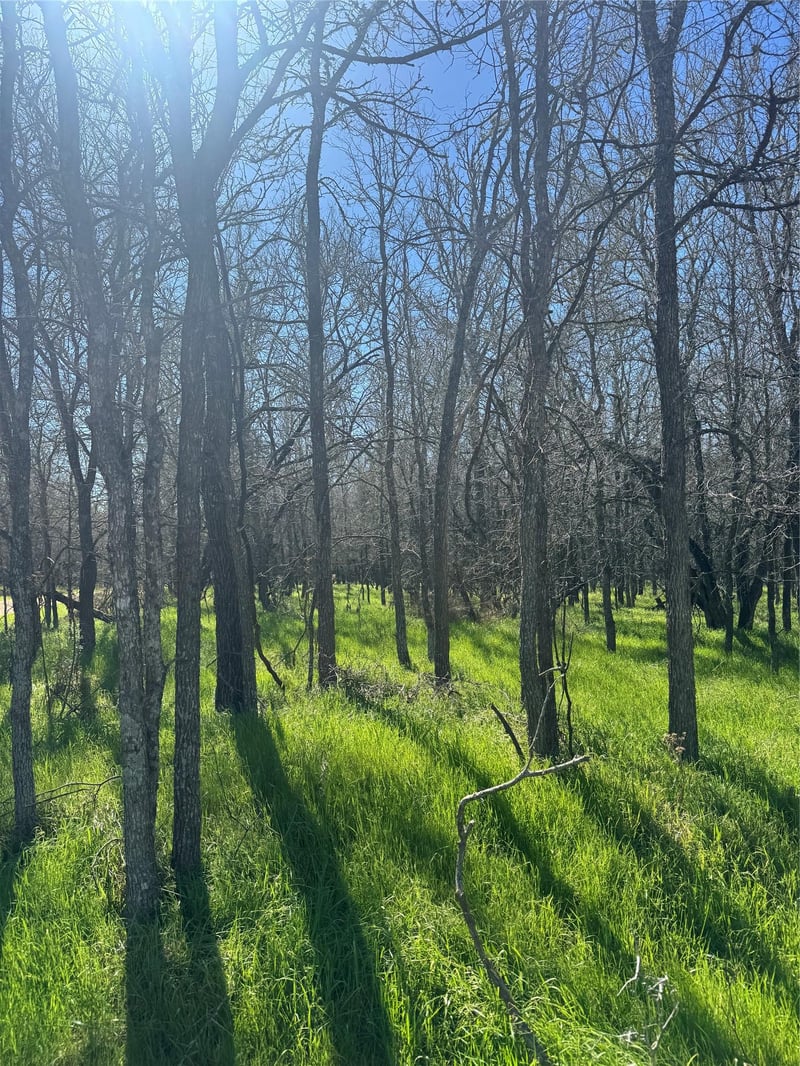 Lot 500 Kaaawa LN, Bastrop, TX 78602