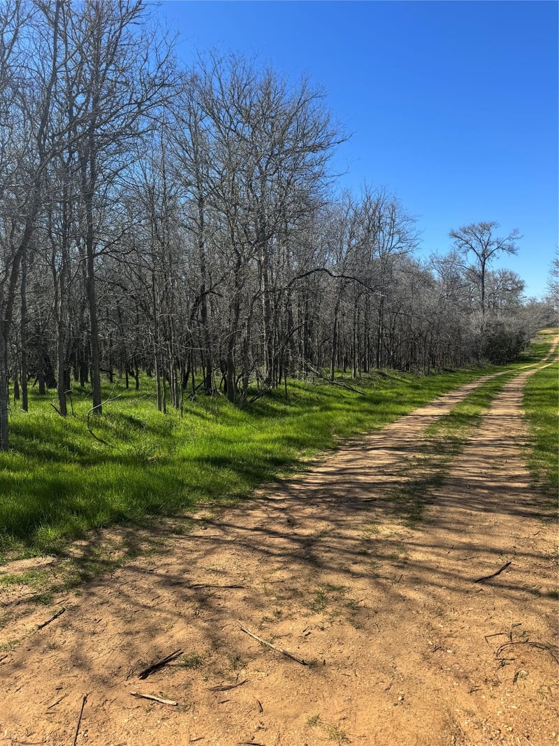 Lot 500 Kaaawa LN, Bastrop, TX 78602