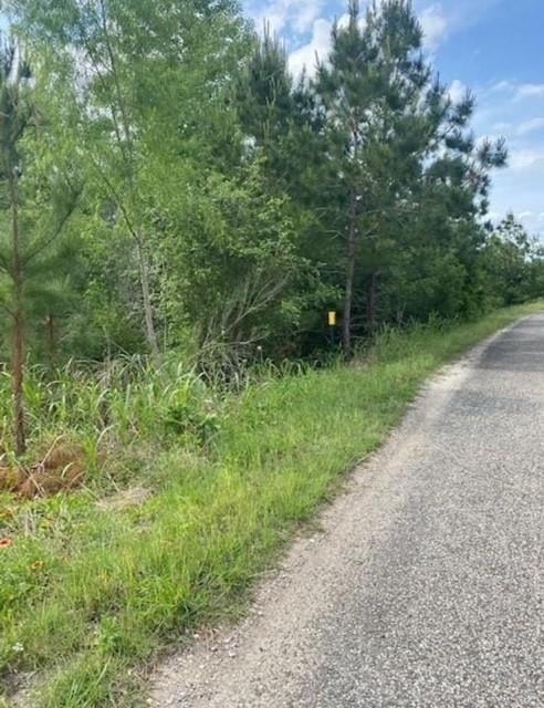 Lot 4 Kainalu LN, Bastrop, TX 78602