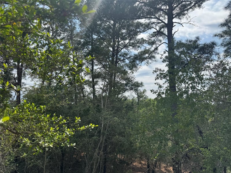 Hanauma DR, Bastrop, TX 78602