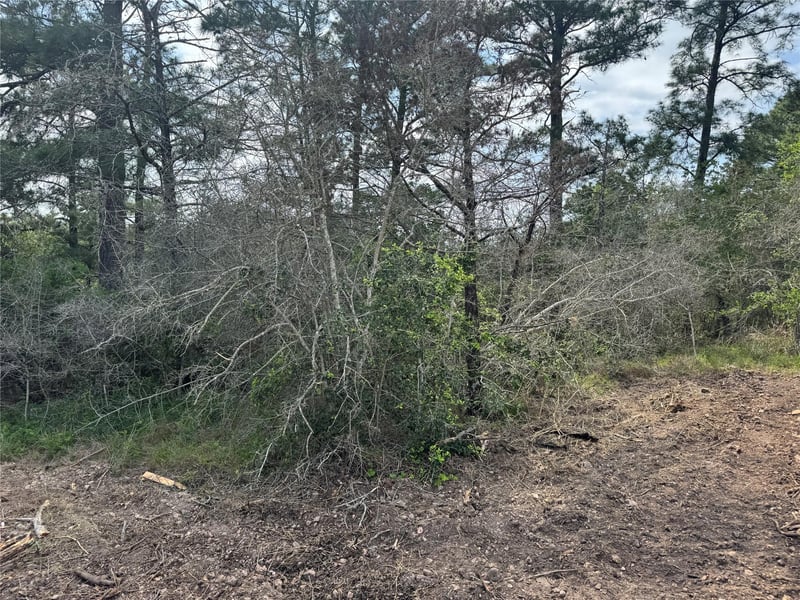 Hanauma DR, Bastrop, TX 78602