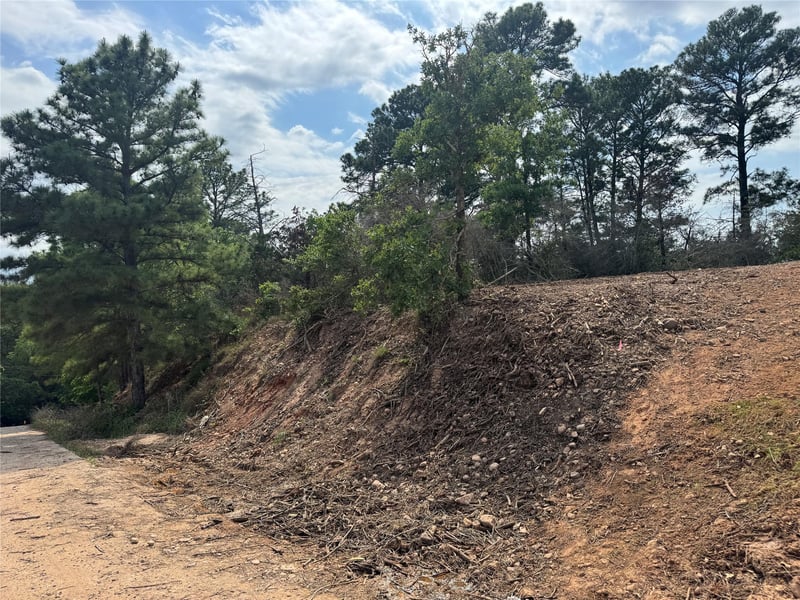 Hanauma DR, Bastrop, TX 78602
