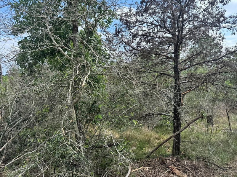 Hanauma DR, Bastrop, TX 78602