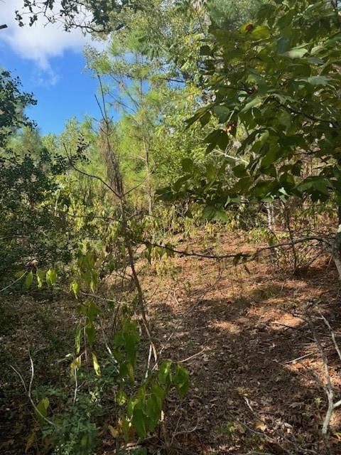 Lot 1338 Tahitian DR, Bastrop, TX 78602