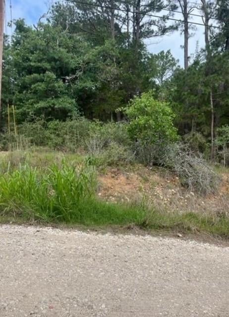Lot 345 Wainee DR, Bastrop, TX 78602