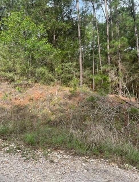 Lot 345 Wainee DR, Bastrop, TX 78602
